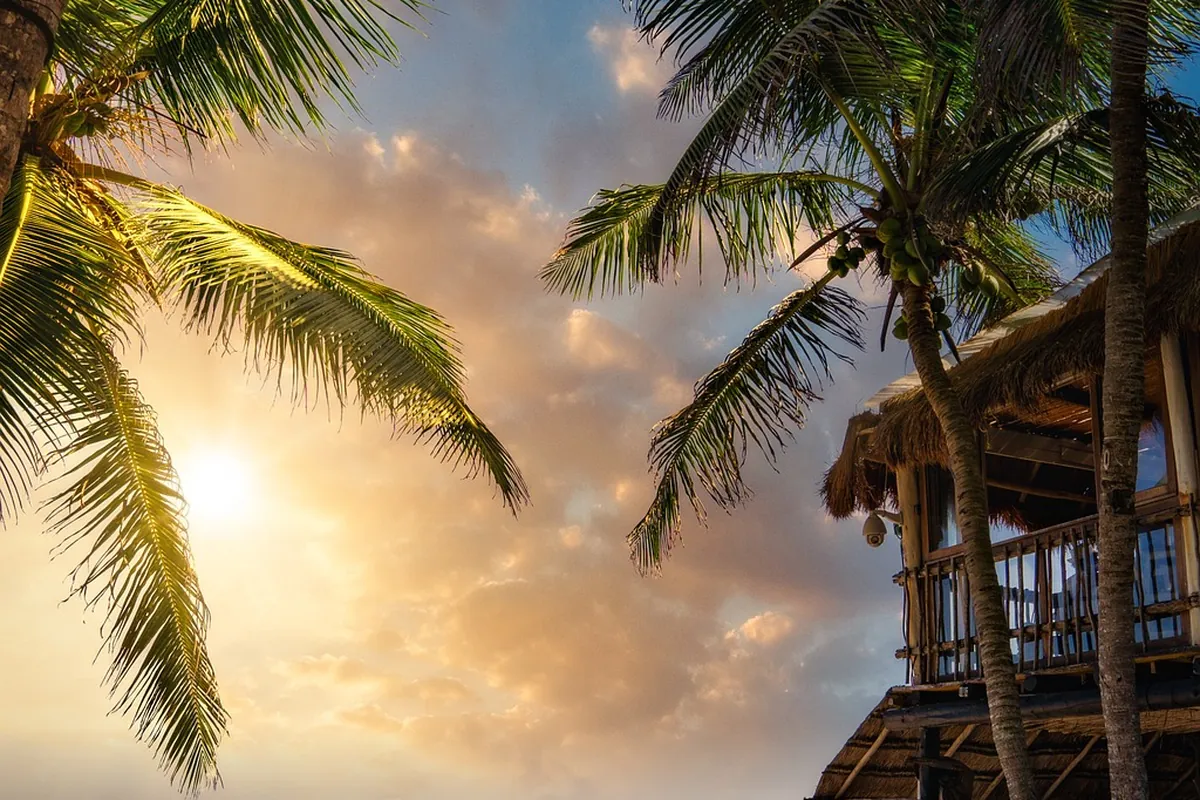 Palm trees silhouetted against a golden sunset beside a thatched-roof beach bar